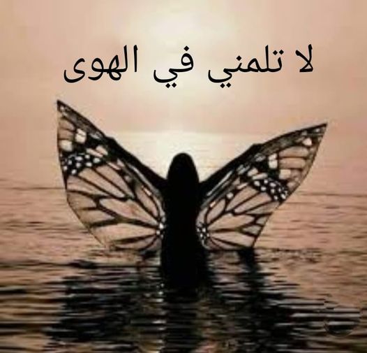 لا تلمني في الهوى